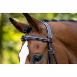 KL Select Hampton Bridle -Farm House Tack Sales Shop 1105 KL.Select Hampton.Bridle Browband