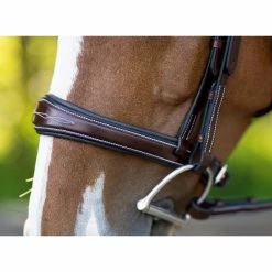 KL Select Hampton Bridle -Farm House Tack Sales Shop 1105 KL.Select Hampton.Bridle Noseband