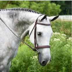 KL Select Italia Middleburg Hunter Bridle