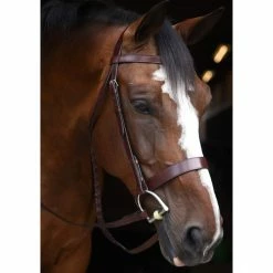 KL Select Italia Foxwell Hunt Bridle