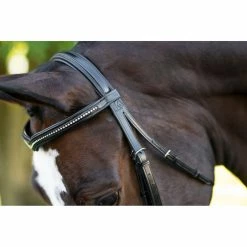 KL Select Italia Pirouette Bridle -Farm House Tack Sales Shop 111114 KL Pirouette.Headstall Black
