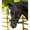 KL Select Italia Pirouette Bridle