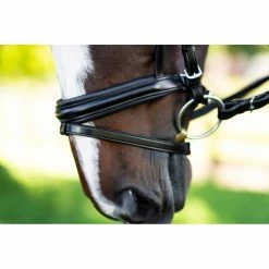 KL Select Italia Pirouette Bridle -Farm House Tack Sales Shop 111114 KL Pirouette.Noseband Black