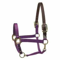 Perri's Economy Safety Halter 9 Perri's Economy Safety Halter -Farm House Tack Sales Shop 150PPU Perris Economy.Safety.Halter Purple