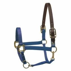 Perri's Economy Safety Halter 10 Perri's Economy Safety Halter -Farm House Tack Sales Shop 150PRB Perris Economy.Safety.Halter Royal.Blue