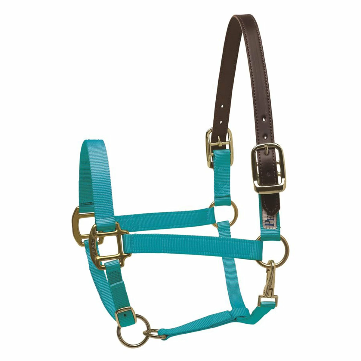 Perri's Economy Safety Halter 6 Perri's Economy Safety Halter - Image 6