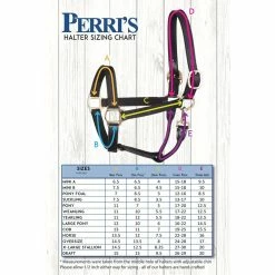 Perri's Economy Safety Halter 8 Perri's Economy Safety Halter -Farm House Tack Sales Shop 150 Perris Economy.Safety.Halter Sizes