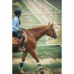 Sixteen Cypress Leatherette Brushing Boots -Farm House Tack Sales Shop 16C BB HU 16Cypress Leatherette.Brushing.Boots Lifestyle