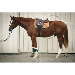 Sixteen Cypress Leatherette Brushing Boots -Farm House Tack Sales Shop 16C JP CA H 16Cypress Jumper.Pad Camel.Hunter Lifestyle 8f82f28d 3c6b 498f a8c9 6de71afe963b