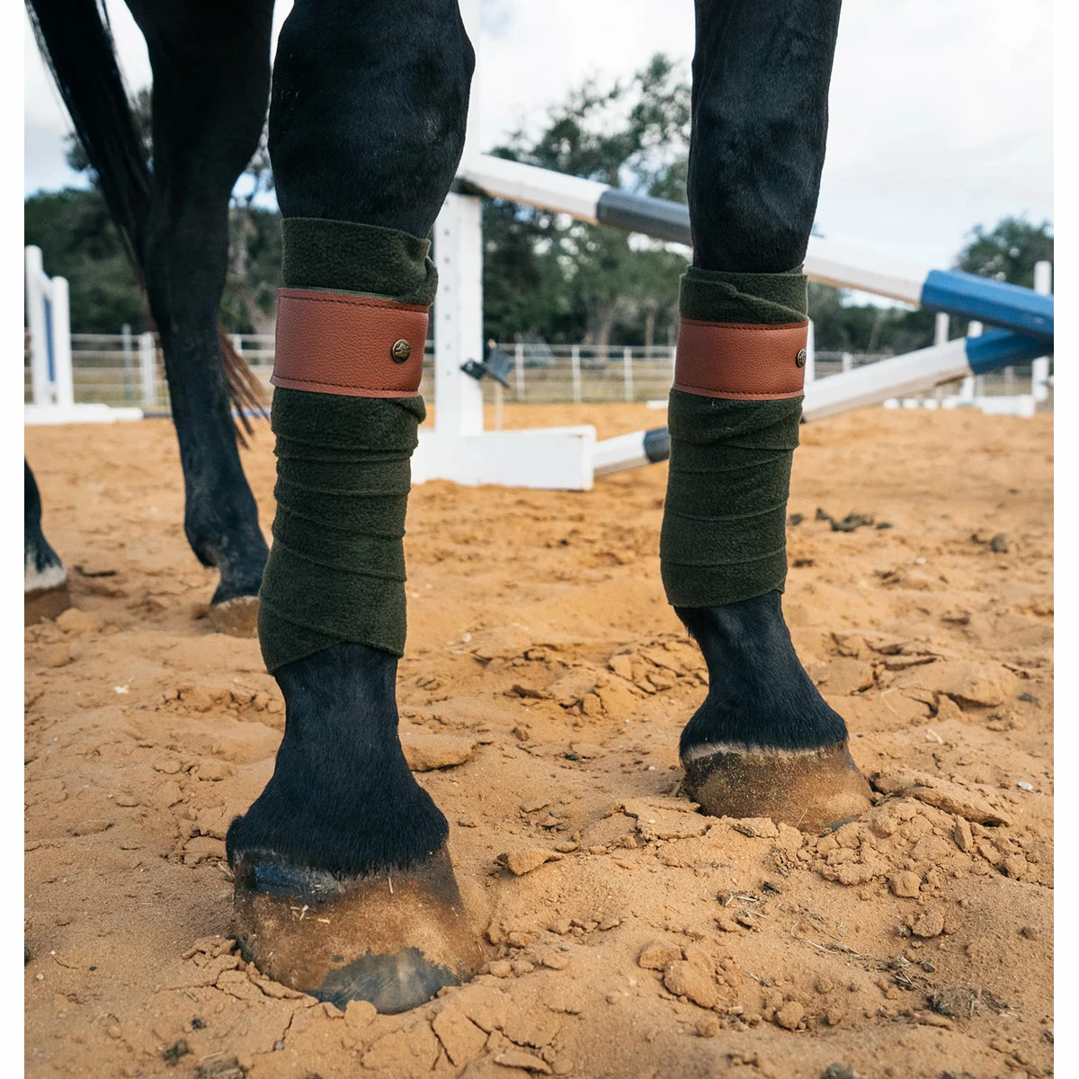 Sixteen Cypress Leatherette Polos 5 Sixteen Cypress Leatherette Polos - Image 5