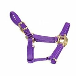 Deluxe Mini Halter -Farm House Tack Sales Shop 1823 Jacks Mini.Halter Purple Side