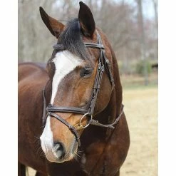 HDR Kushy Bridle With Detachable Flash