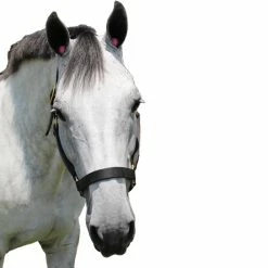 POMMS Dimpled Equine Ear Plugs -Farm House Tack Sales Shop 470278 ERS Colored.Practice.Pomms Pink IRL