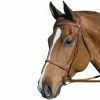 HDR Pro Fancy Raised Bridle With Laced Reins