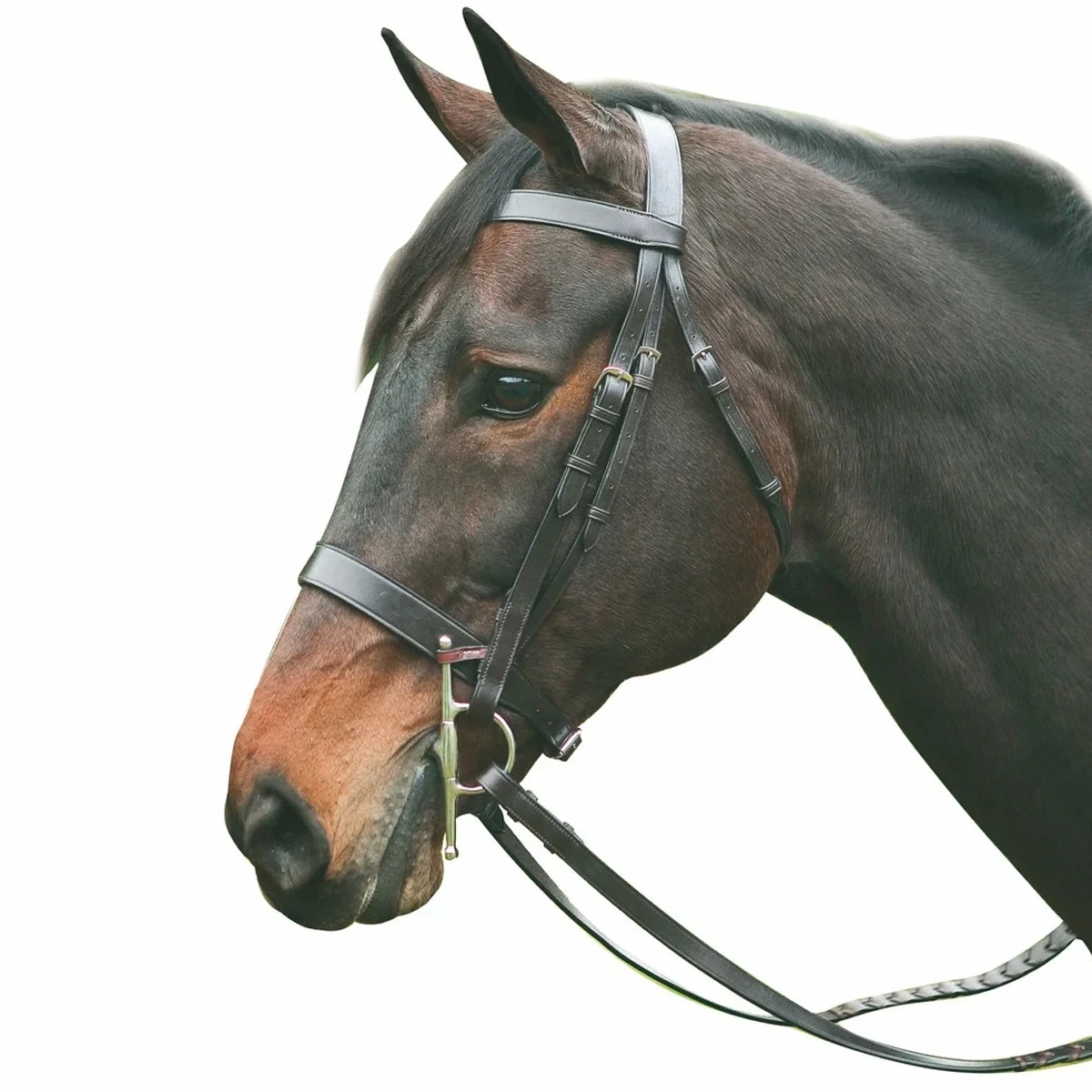 HDR Advantage Hunt Bridle