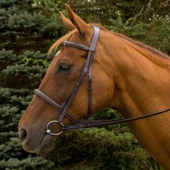 HDR Pro Mono Crown Padded Fancy Bridle -Farm House Tack Sales Shop 5099 JPC HDR.Pro .Mono .Crown .Padded.Fancy .Bridle Havana