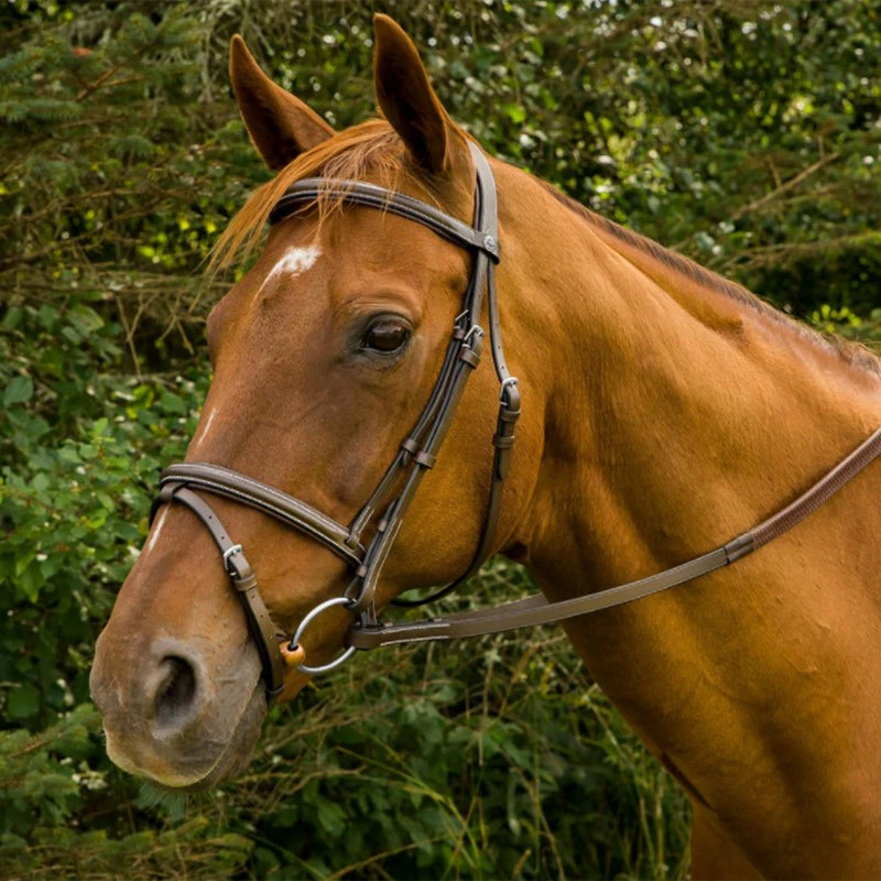 HDR Mono Crown Bridle With Flash And Rubber Reins