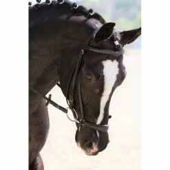 Red Barn By KL Select Drop Noseband -Farm House Tack Sales Shop 5222 KL.Select Drop.Noseband.Horse