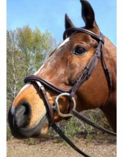 Nunn Finer A Forma Di Shaped Bridle -Farm House Tack Sales Shop 5 07638.1524843942.1280.1280