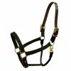 Walsh Breakaway 1" Halter With Straight Chin