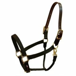 Walsh Breakaway 1" Halter With Straight Chin