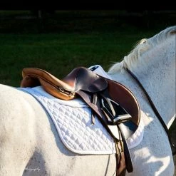 ThinLine Trifecta Cotton Half Pad -Farm House Tack Sales Shop 7306 trifecta.cotton.half .pad wht riding 2 c94b90dd 7687 4ff5 a4be bd02f86b0a77