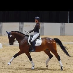 ThinLine Trifecta Cotton Half Pad -Farm House Tack Sales Shop 7306 trifecta.cotton.half .pad wht riding 8bd1e802 fe4c 4fe3 86f8 4999ada85037