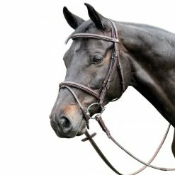 Prestige 3E037 Fancy Stitched Raised Bridle