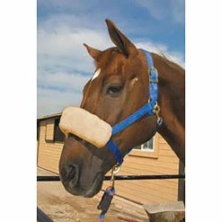 ECP Halter Fleece Noseband Cover -Farm House Tack Sales Shop ECP halter.fleece.noseband.cover HP 5N 07 cream