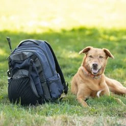 Kerrits EQ Backpack -Farm House Tack Sales Shop EQBackPack 30444 Black2