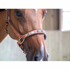Penelope Pearl Halter -Farm House Tack Sales Shop FrenchEq 510311302 PearlHalter.brandy2