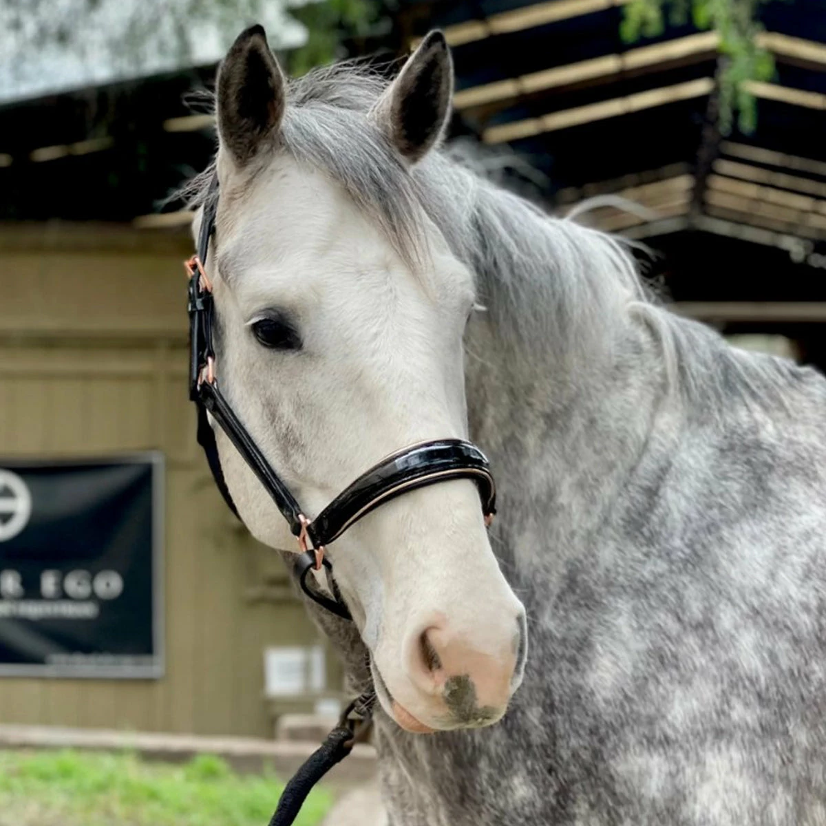 Halter Ego Aurelia Black Patent Conical With Rose Gold Piping Halter 1 Halter Ego Aurelia Black Patent Conical With Rose Gold Piping Halter
