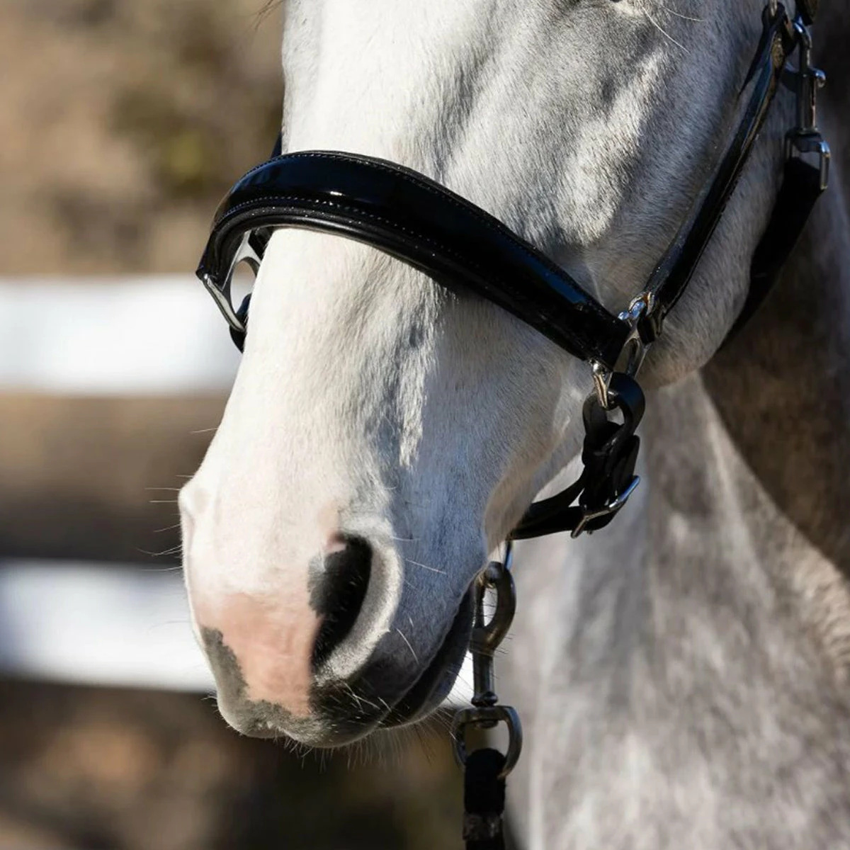 Halter Ego Celebrity Sparkle Halter 2 Halter Ego Celebrity Sparkle Halter - Image 2