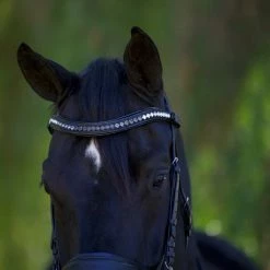 Halter Ego Doc Marten Snaffle Bridle -Farm House Tack Sales Shop Halter.Ego Doc.Marten.Snaffle.Bridle Black 2