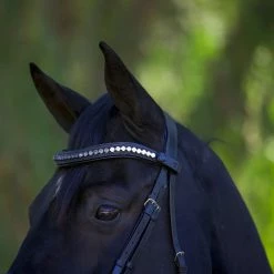 Halter Ego Doc Marten Snaffle Bridle -Farm House Tack Sales Shop Halter.Ego Doc.Marten.Snaffle.Bridle Black 4