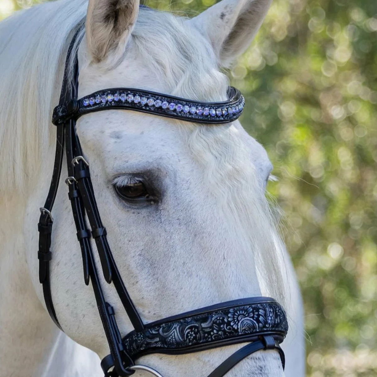Halter Ego Munich Navy Leather Snaffle Bridle 2 Halter Ego Munich Navy Leather Snaffle Bridle - Image 2