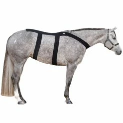 Ice Horse Back Blanket