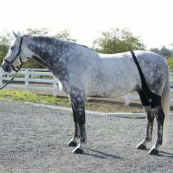 Ice Horse Stifle Wrap -Farm House Tack Sales Shop IHF9000V MacKinnon Hock.Wraps2