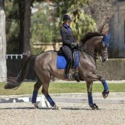 LeMieux Suede Dressage Square Pad 21 LeMieux Suede Dressage Square Pad -Farm House Tack Sales Shop IT01282 LeMieux.Suede .Dressage.Pad Benton.Blue Lifestyle