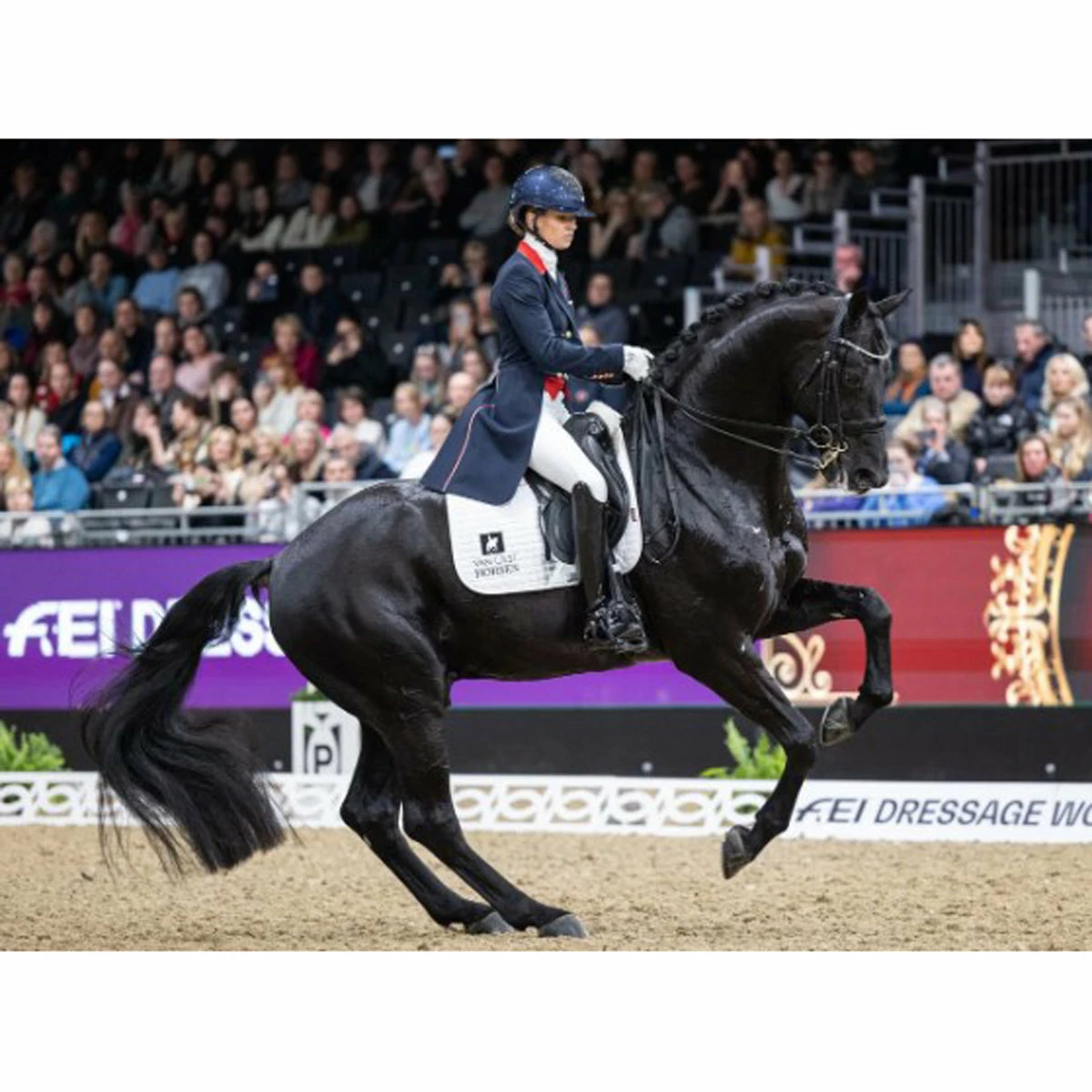 LeMieux Suede Dressage Square Pad 18 LeMieux Suede Dressage Square Pad - Image 18