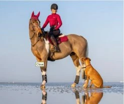 LeMieux Suede GP Square Pad -Farm House Tack Sales Shop IT01470 LeMieux.Suede .GP .Square.Pad Mulberry Lifestyle