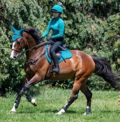 LeMieux Suede GP Square Pad -Farm House Tack Sales Shop IT01474 LeMieux.Suede .GP .Square.Pad Peacock Lifestyle