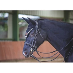 Jump'in Patent Double Bridle - Week Collection -Farm House Tack Sales Shop JI BRWV 2
