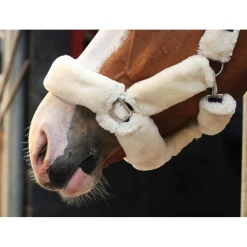 Jump'in Soft Halter - One Collection 8 Jump'in Soft Halter - One Collection -Farm House Tack Sales Shop JI LOM beige3