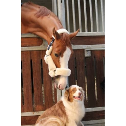 Jump'in Soft Halter - One Collection 9 Jump'in Soft Halter - One Collection -Farm House Tack Sales Shop JI LOM beige4