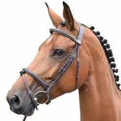 Jump'in Thursday Bridle - Week Collection