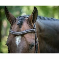 Jump'in Manhattan Bridle - One Collection -Farm House Tack Sales Shop Jump inManhattanBridle OneCollection2