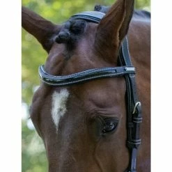 Jump'in Manhattan Bridle - One Collection -Farm House Tack Sales Shop Jump inManhattanBridle OneCollection3