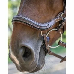 Jump'in Manhattan Bridle - One Collection -Farm House Tack Sales Shop Jump inManhattanBridle OneCollection4