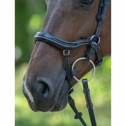 Jump'in Manhattan Bridle - One Collection -Farm House Tack Sales Shop Jump inManhattanBridle OneCollection5